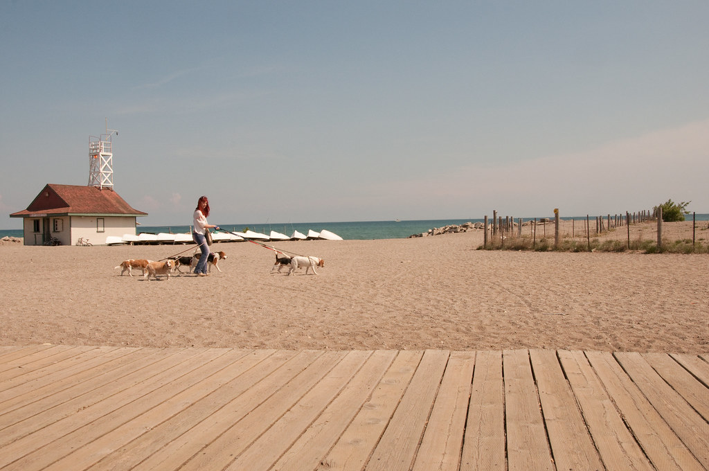 An image of Kew Beach as it appears in the summer, intended to show of the neighbourhood for Frank Leo's Toronto Neighbourhood profile of the beaches