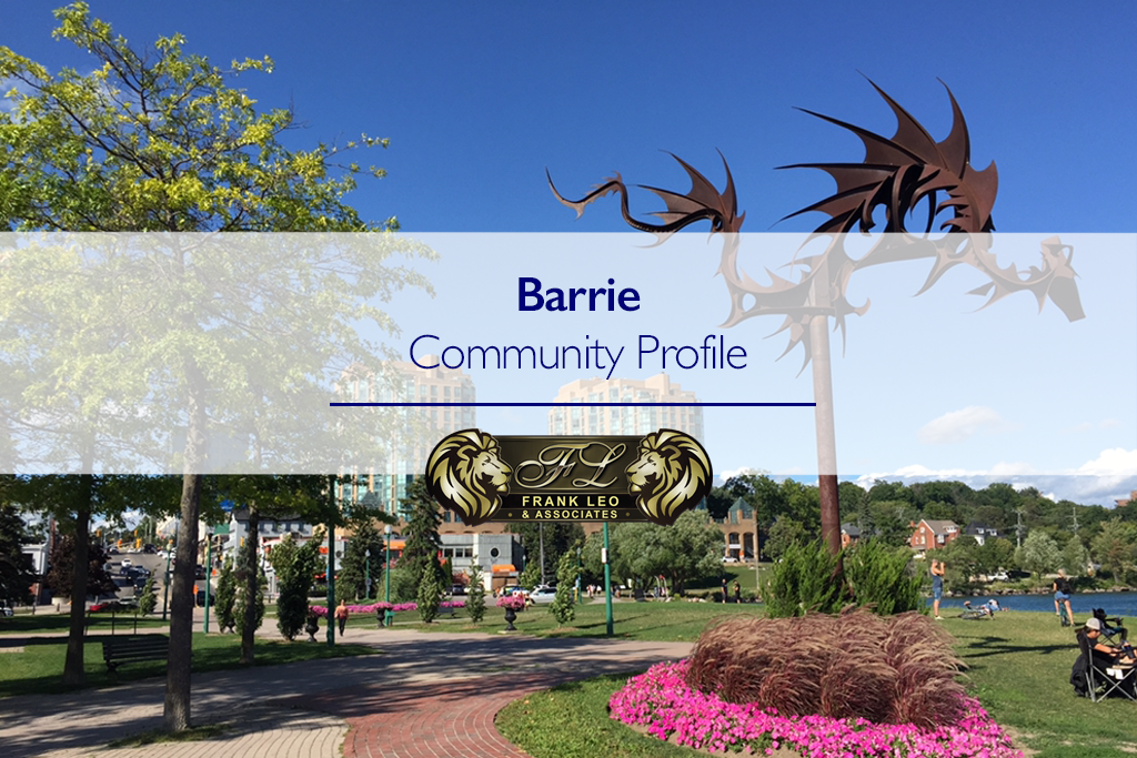Barrie Community Profile featured image