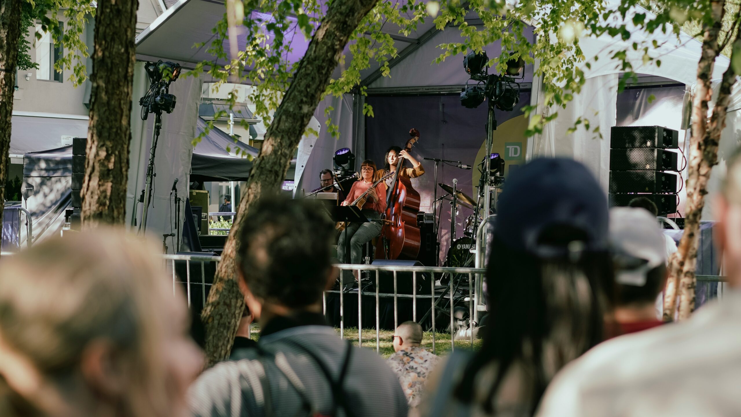 High Park Summer Stage Production