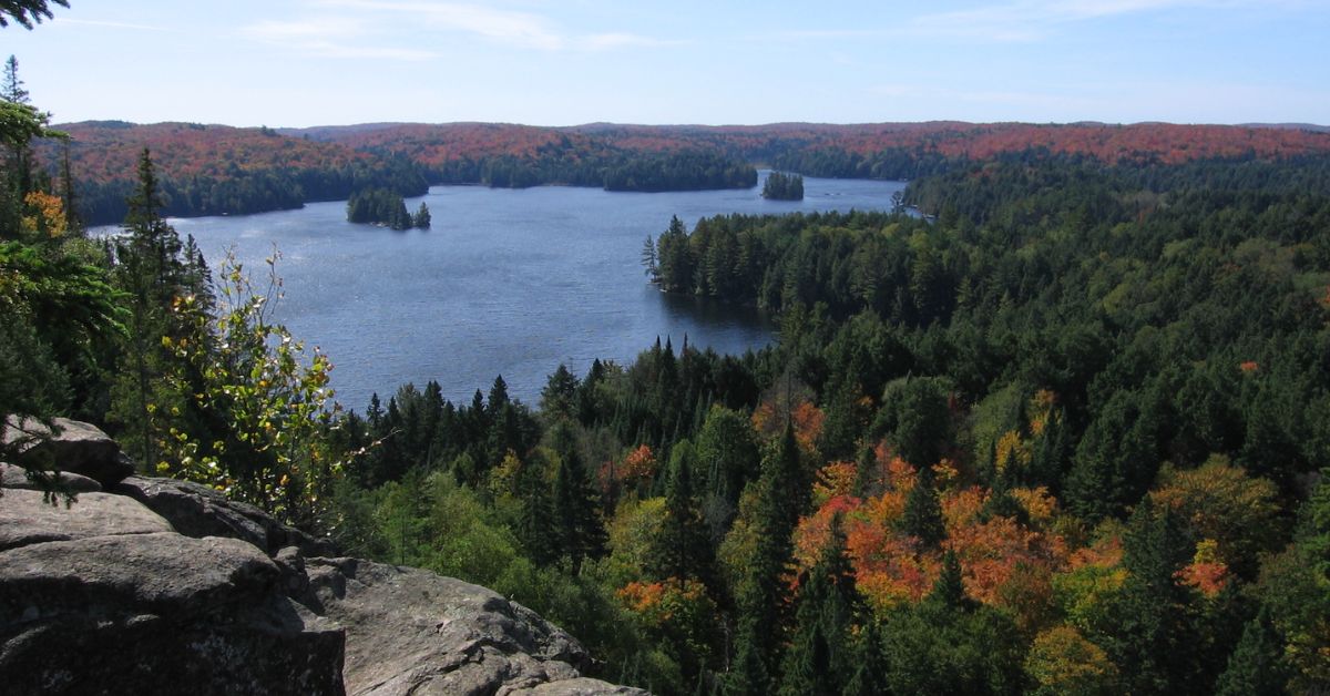 Algonquin Provincial Park